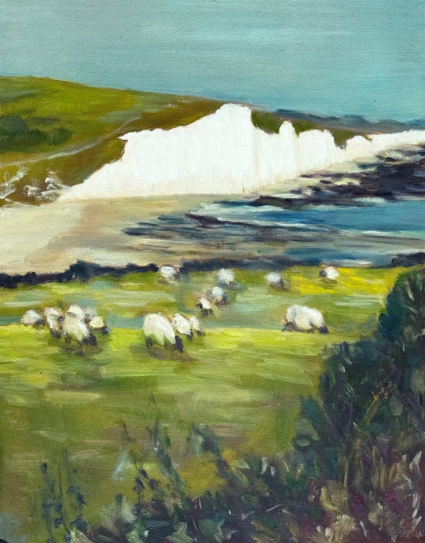 Seven Sisters Cliffs 1