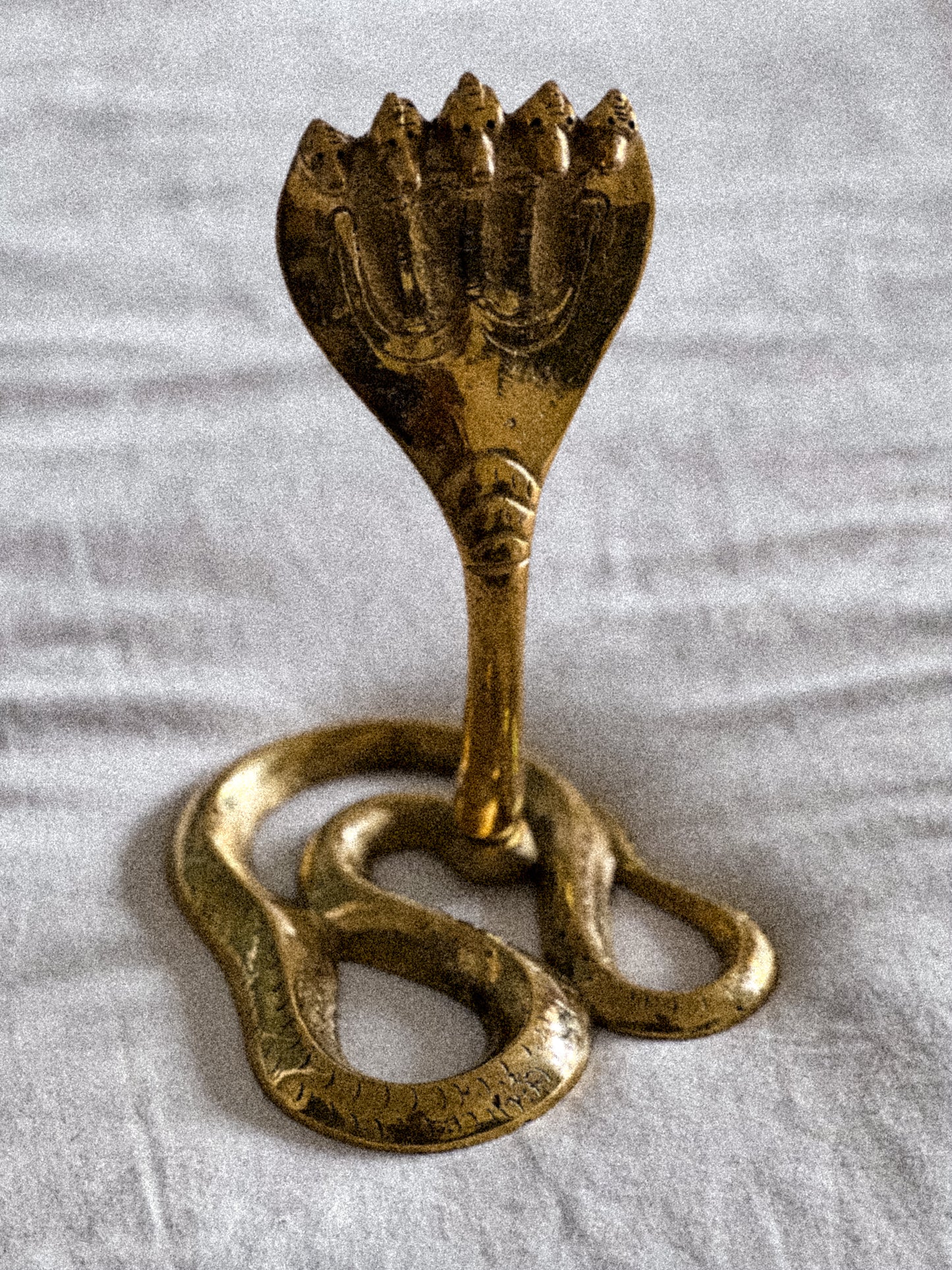 Naag Brass Cobra Head