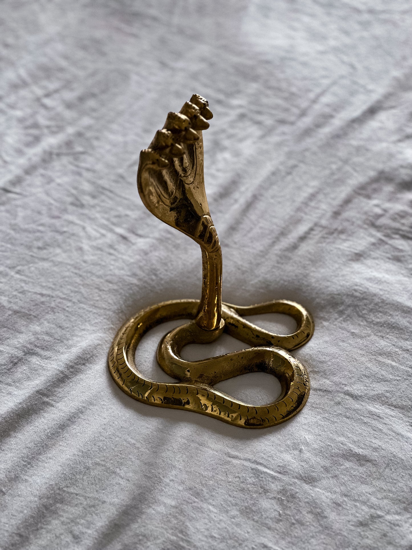Naag Brass Cobra Head